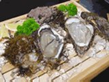 能登島「梅屋」岩牡蠣